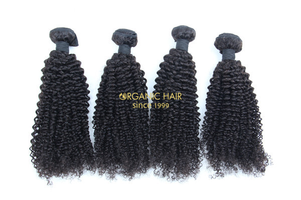 Afro kinky curly virgin brazilian remy hair extensions 